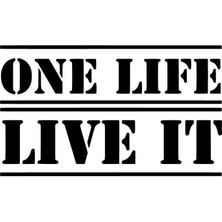 One Life Live It Sticker Oto Motor Laptop Duvar Folyo Sticker 30X18 cm