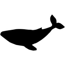 Balina (Oto-Motor-Laptop-Duvar-Dekor) 10 x 6 cm