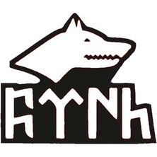 Kurt ve Göktürkçe Türk 1 Duvar Dekor Sticker 45 x 45 cm