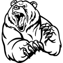 Kızgın Ayı Sticker Oto Motor Laptop Duvar Folyo Sticker 30 x 30 cm