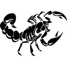 Akrep Sticker (Oto-Motor-Laptop-Duvar-Dekor) 10 x 7 cm