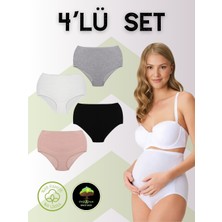 Dominant %95 Pamuk %5 Elastan Hamile Külodu Karışık Renkli 4'lü Paket