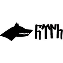 Kurt Başı ve Göktürkçe Türk Yazısı Sticker (Oto-Motor-Laptop-Duvar-Dekor) 30 x 12 cm