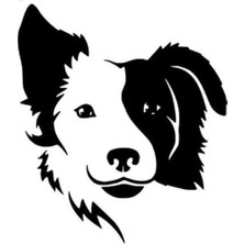Kırbaş Köpek Sticker 10 x 15 cm