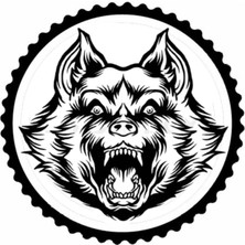 Kurt Tasarım 12.model Sticker 20 x 20 cm