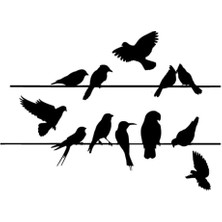 Teldeki Kuşlar Sticker Oto Motor Laptop Duvar Folyo Sticker 20X14 cm