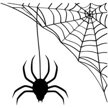 Örümcek Ağ Yapmış Sticker Duvar Dekor Sticker 40 x 36 cm