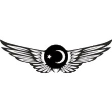 Ayyıldız Kanat Motosiklet Siperlik Sticker 20 x 5 cm