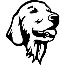 Goldenretriever Sticker Oto Motor Laptop Duvar Folyo Sticker 20 x 24 cm