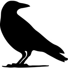 Karga Sticker Oto Motor Laptop Duvar Folyo Sticker 10 x 10 cm