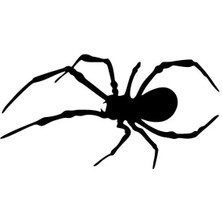 BYR002 Örümcek Sticker Oto Motor Laptop Duvar Folyo Sticker 10X5 cm [efsngrck]