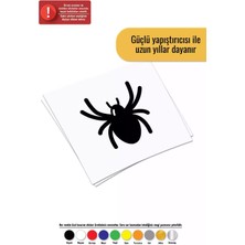 Sevimli Örümcek - Araç, Oto, Laptop, Duvar Uyumlu Sticker 20*20 cm