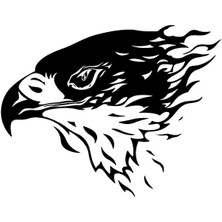 Kartal Tasarım Sticker (Oto-Motor-Laptop-Duvar-Dekor) 30 x 21 cm