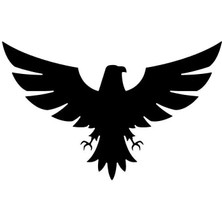 Kartal Sticker Oto Motor Laptop Duvar Folyo Sticker 30 x 45 cm