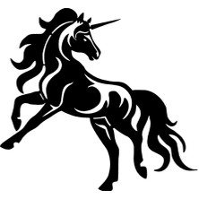 Unicorn At - Araç, Oto, Laptop, Duvar Uyumlu Sticker 30*27 cm