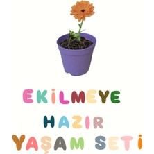 Ekilmeye Hazır Yaşam Seti