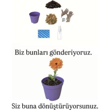 Ekilmeye Hazır Yaşam Seti
