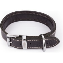 ‎Canini Collar Canini Collar Hakiki Yağlı Deri Köpek Tasması,Ultra Dayanıklı & Yumuşak Doku