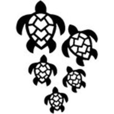 Kaplumbağa (Oto-Motor-Laptop-Duvar-Dekor) 30 x 39 cm