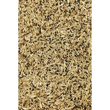 Kanarya Karışık Kuş Yemi Doğal Taze - 500 gr
