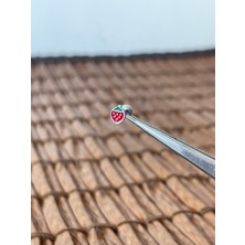 Aida Jewelss 316 L Cerrahi Çelik  Mineli Çilek Dudak Kıkırdak Helix Tragus Piercingi 8mm x 1,2mm