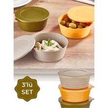 3'lü Çok Renkli Saklama Kabı Seti, Güzel ve Pratik Mutfak Çözümü