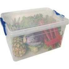 Şeffaf Dikdörtgen Kilitli Saklama Kabı, 30 Lt, Gri, Çok Amaçlı