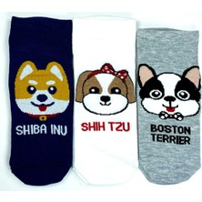 Kapamarka 3 Çift Sevimli Köpek Temalı Baskılı Yumuşak Kadın Bilek Çorap