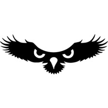Kartalın Gözleri Sticker 40 x 16 cm