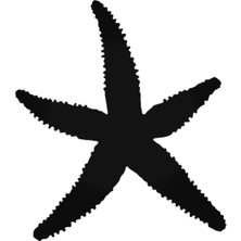 Deniz Yıldızı Oto Motor Laptop Duvar Folyo Sticker 10 x 11 cm