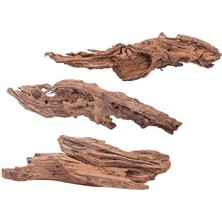 Creaqua Mangrow Kökü 25-35 cm 1 Adet