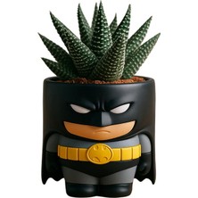 Batman Figürlü Mini Saksı