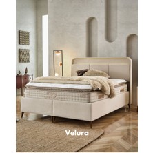 Velura Home & Living Utopia Tek Kişilik Yatak Baza Başlık Seti (100 x 200)