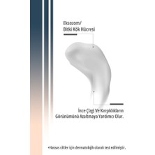 Stemagé Exosome Kök Hücre / Onarıcı-Nemlendirici Gece Eksozom Kremi 50 ml