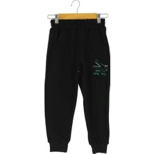 Dinozor See Later You Nakışlı 30/150 2 Ip Erkek Eşofman Alt Siyah