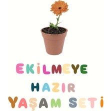 Ekilmeye Hazır Yaşam Seti
