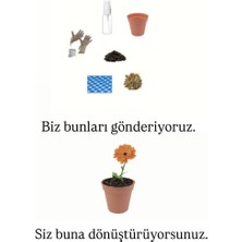 Ekilmeye Hazır Yaşam Seti