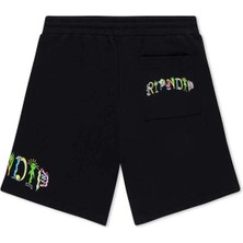 Konforlu Venice Sweatshort - %100 Pamuk, Siyah, Doğru Bedende