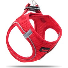 Tailpetz Air-Mesh Harness Köpek Göğüs Tasması Large Kırmızı