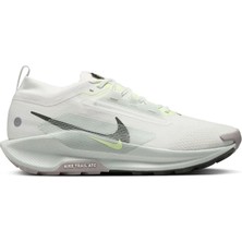 Nike Pegasus Traıl 5 Gtx Erkek Koşu Ayakkabısı FQ0908-102