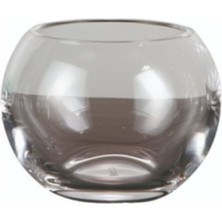 Apollo Diş Fırçalık