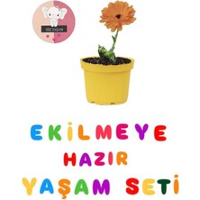 Ekilmeye Hazır Yaşam Seti