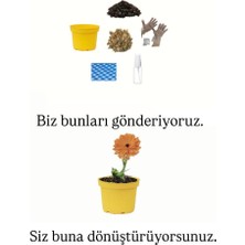 Ekilmeye Hazır Yaşam Seti