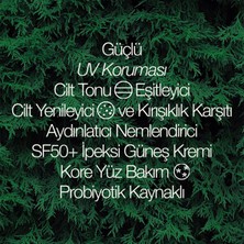 DalBam Yüz Güneş Kremi SPF50 50ML | Su Bazlı Yüksek Koruma, Nemlendirici| Selvi Özü ve Eksozom (Kore)