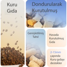 Evcil Hayvan Kedi Mama ve Su Otomatı Akıllı Besleme Ünitesi