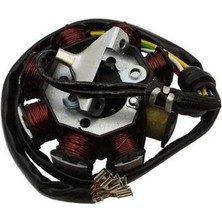 Kuba Cg / Drift Statör 5 Kablo Bakır GMS6541