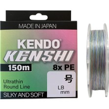 Kendo Kenshi Japanese Braid Low Pitch 8x 150MT Ip Misina Multicolor