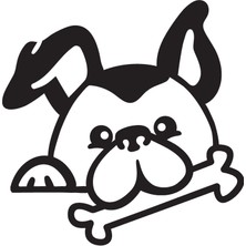 Köpek ve Kemik Oto Özel Yeni Sticker 25 x 25 cm