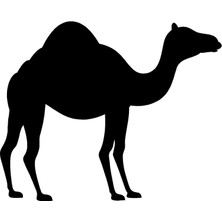 Deve Oto Özel Yeni Sticker 30 x 24 cm