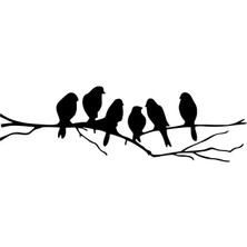 Daldaki Kuşlar Oto Özel Yeni Sticker Siyah 30 x 9 cm